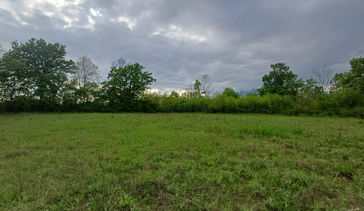 0-02-05-3a13547452fc5fa822e13f968215a935a911cac0b4a9f5cfe4ad6e47f4256adc_509d77f393c9a868