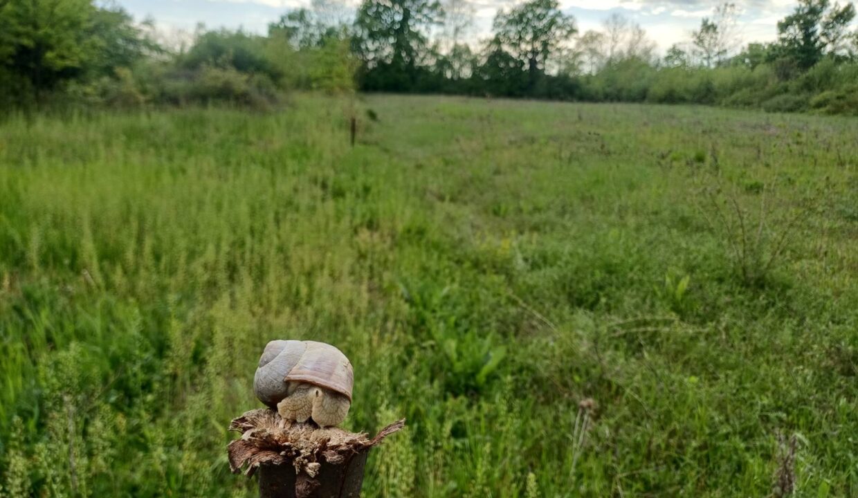 0-02-05-942e6dc3c6e4788943c61f2823b79d2bc7a740314daa0357ba6346f4b5d814bf_29cff5889f4e08d7