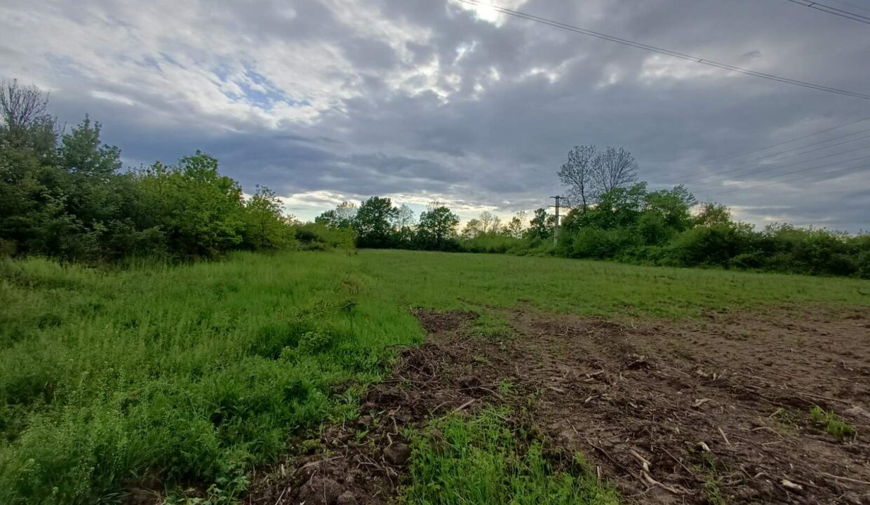 0-02-05-c26860fc1e665d8f6695f4e164c005fc4230a24865f1d14b907f5b7c80deaad7_cb4cce8bc3e0c3d9