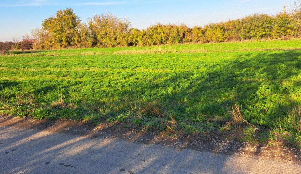 0-02-05-73dbca6b07be03d2a65b04fa34ff4fcf79f2972a26677aab12ca2c67aadf3e77_96603ec163f9de17