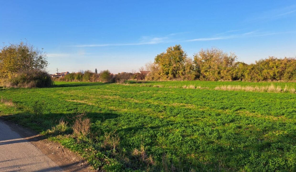 0-02-05-ac37f89130c50c5b9a087efa3ed658836d363f94c797b3aaba0246634268fad5_22bcdec6a7a998f1