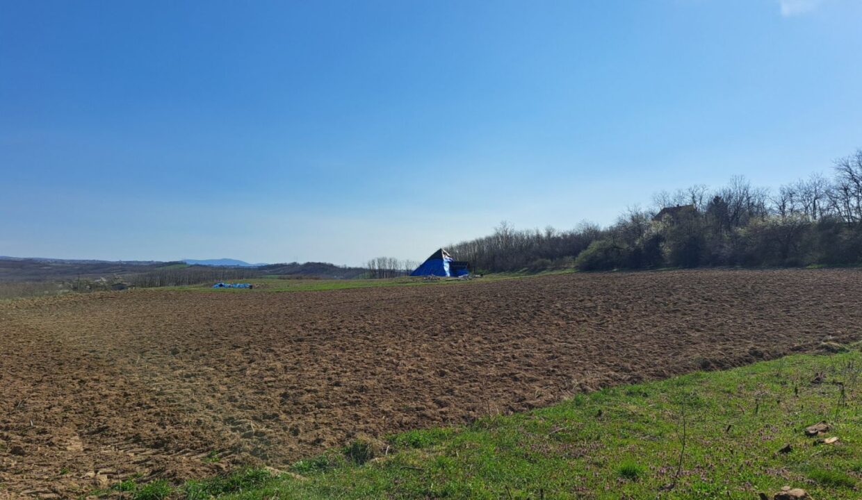 0-02-05-0cd663d947343e068cf85a5e02501d33ff03eb0043075d4be650c5fb33036265_fe0488a9cadc075a