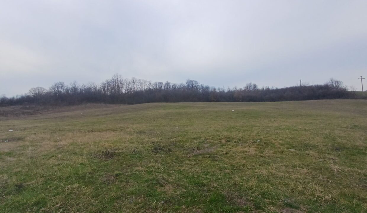 0-02-05-35b81bb52e6f626307f9eba36b88db35c24544fc8c3af67d7a393857aefd432a_c833b39cd90df869