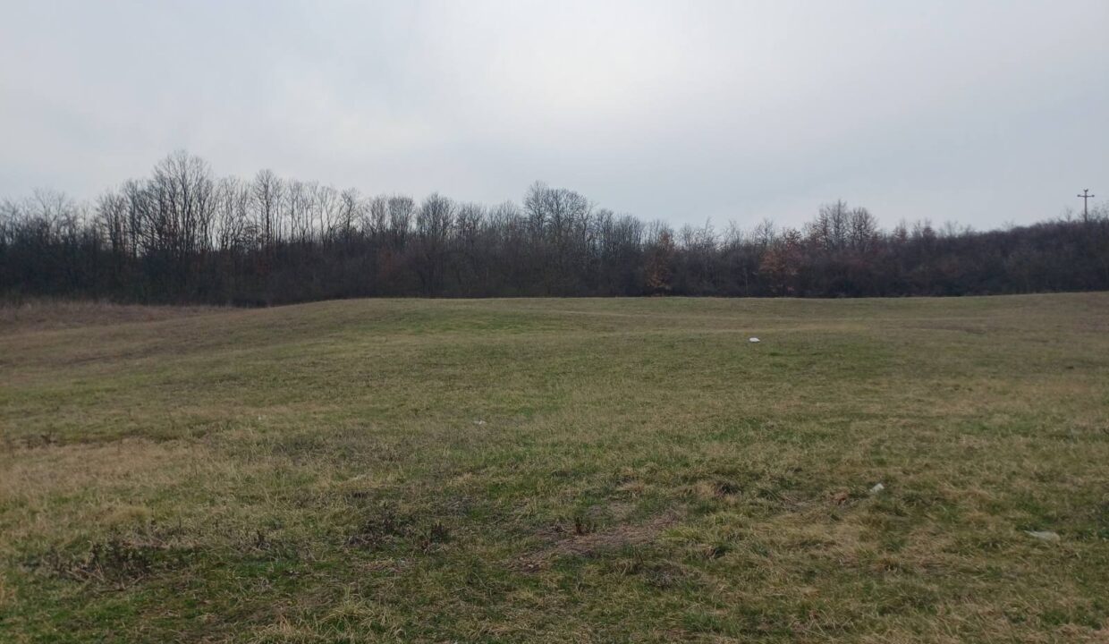 0-02-05-a62ca2e2931a75b09a97839618d6d73602f9cae9243e3324fdacd9aa1955338a_3f292c6e7edff9f6