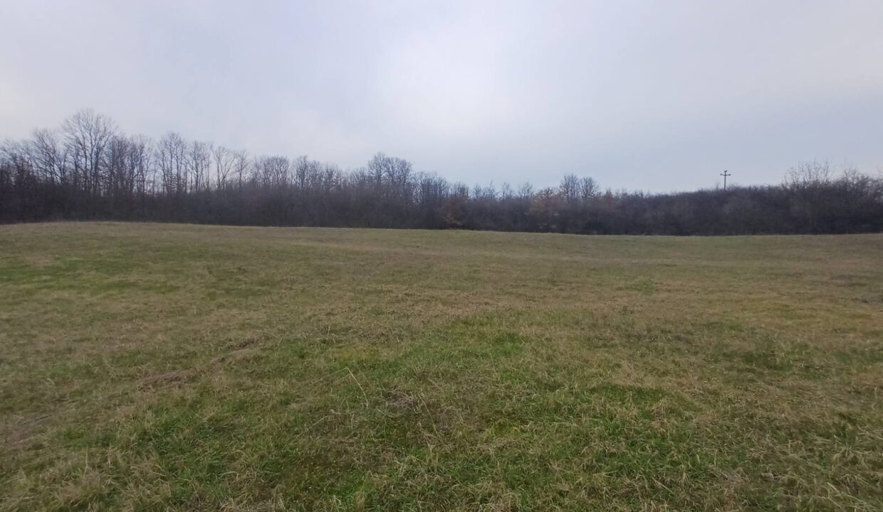 0-02-05-d00403d7c74cf89425140e5ffd2f5a4d687c601ddc8fbca292b96bbb375389d9_15b92322659e3b0