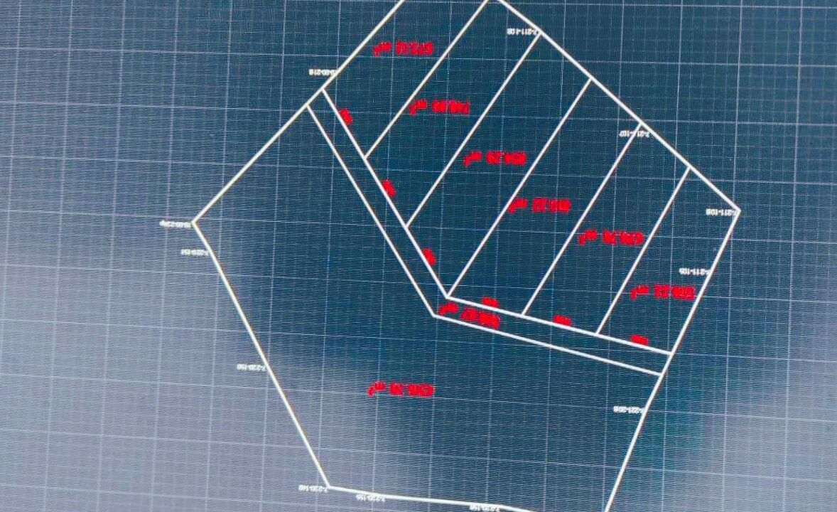 viber_image_2026-03-09_16-01-51-728