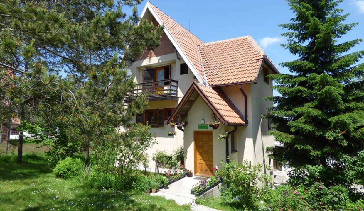 viber_image_2026-03-20_14-16-52-605