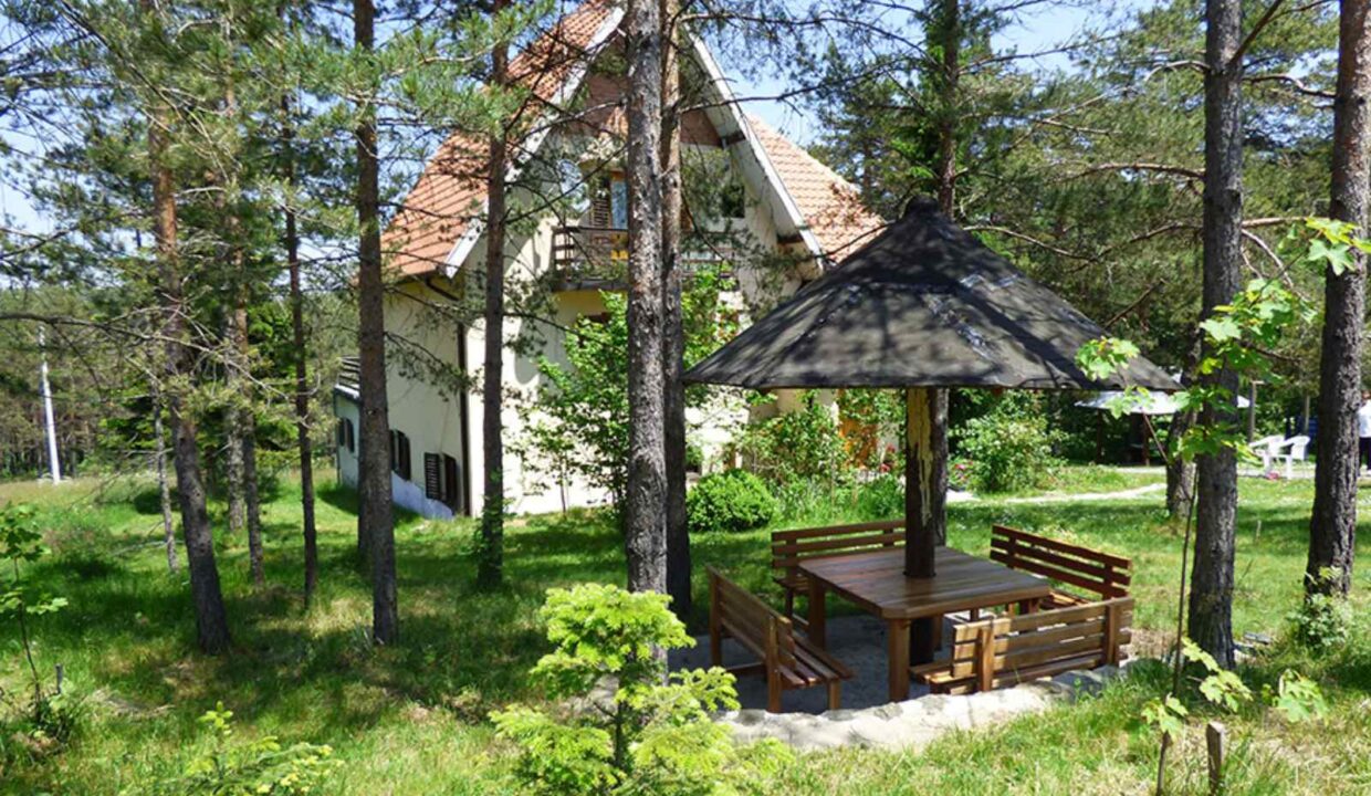 viber_image_2026-03-20_14-16-53-788