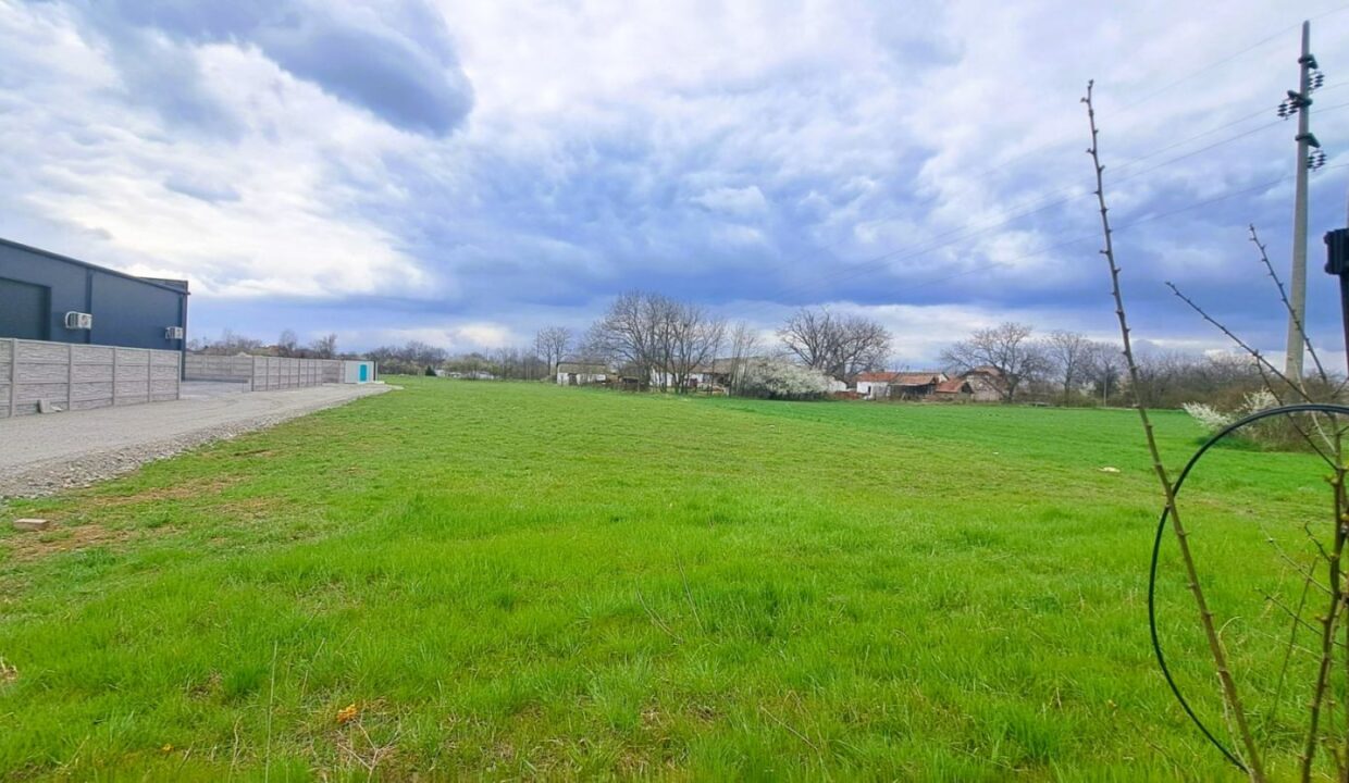 viber_image_2026-03-20_14-21-18-800