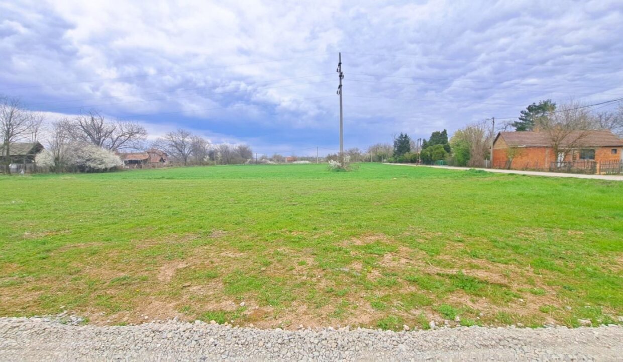 viber_image_2026-03-20_14-21-19-372