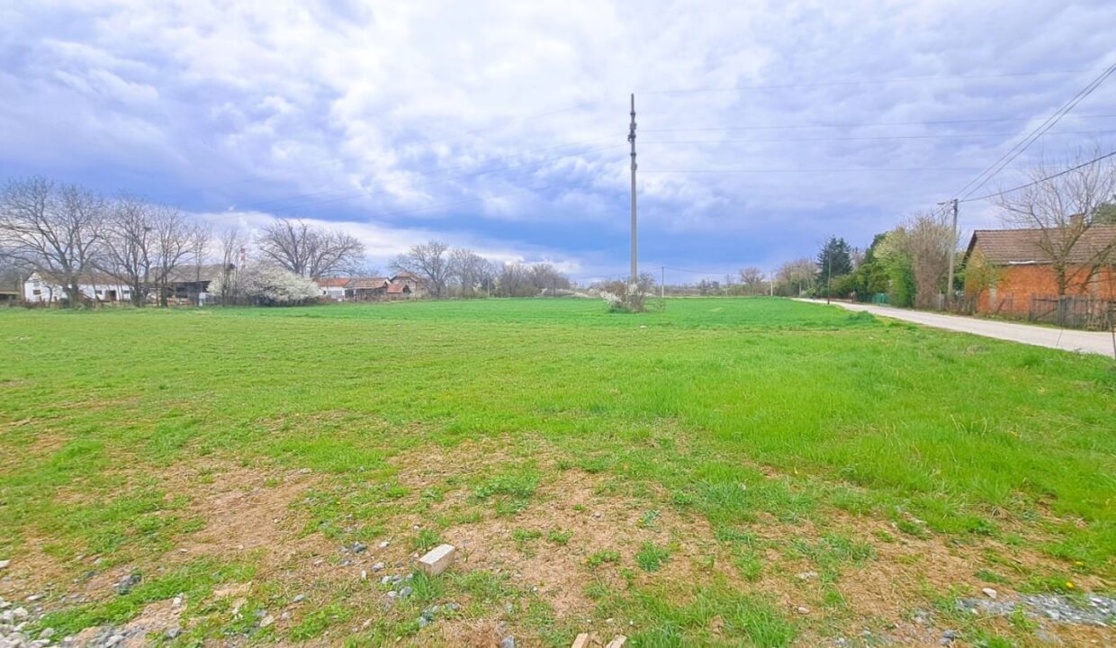 viber_image_2026-03-20_14-21-19-974