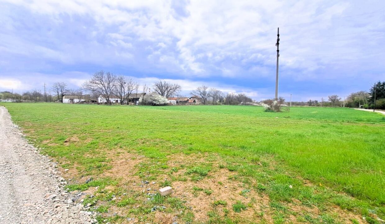 viber_image_2026-03-20_14-21-20-567