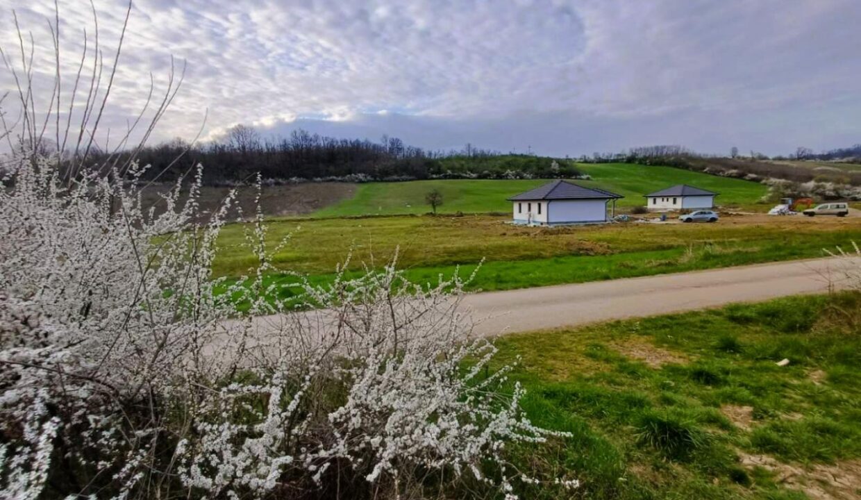 viber_image_2026-03-25_14-31-46-017