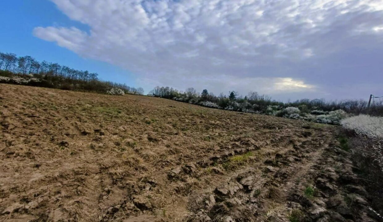 viber_image_2026-03-25_14-31-46-536