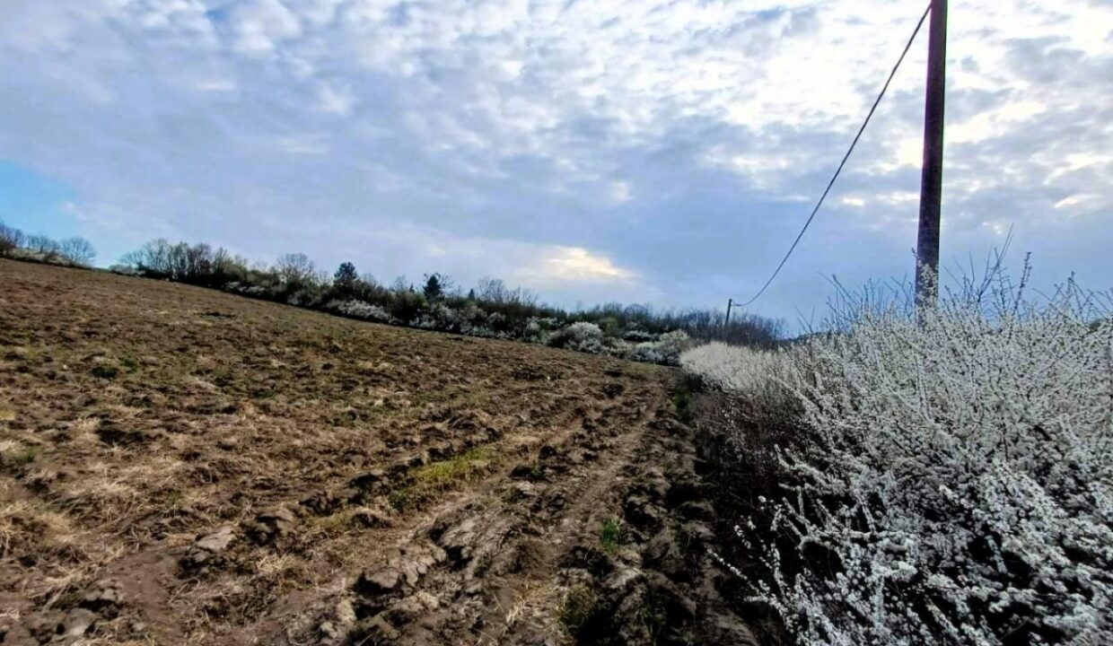 viber_image_2026-03-25_14-31-47-374