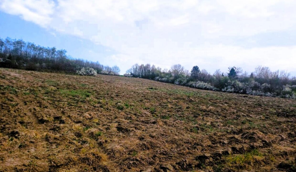 viber_image_2026-03-25_14-31-47-967