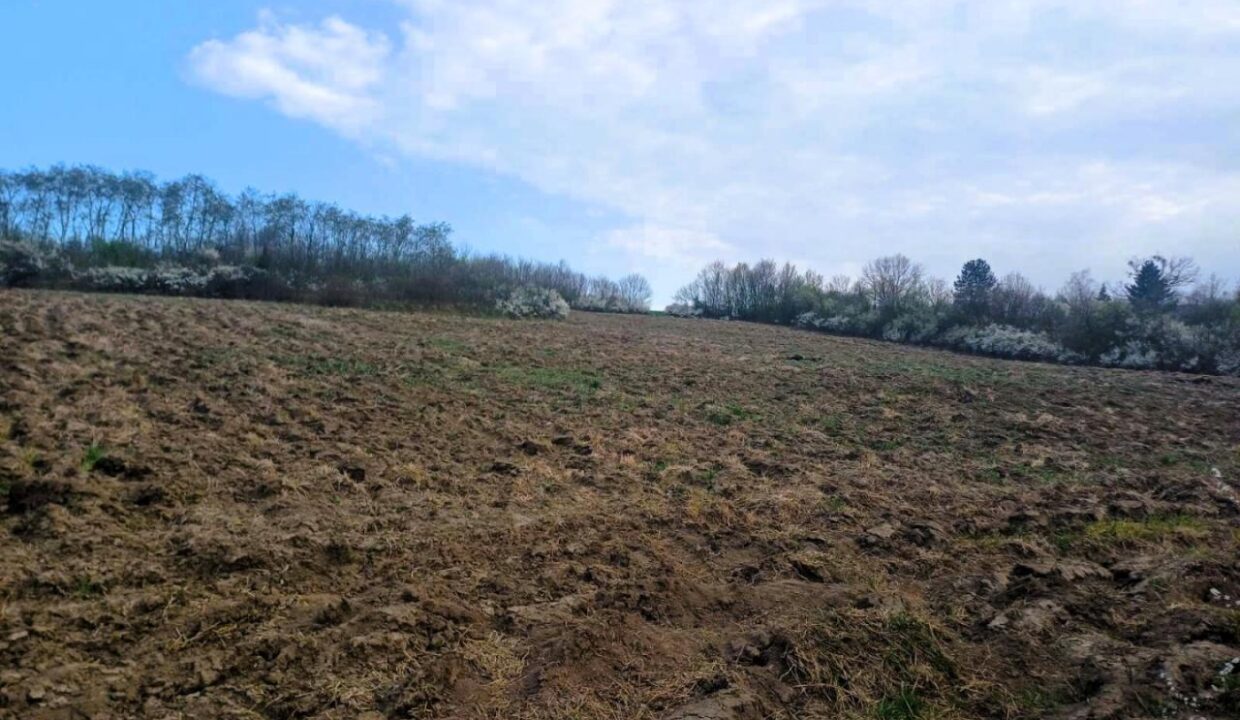 viber_image_2026-03-25_14-31-48-501