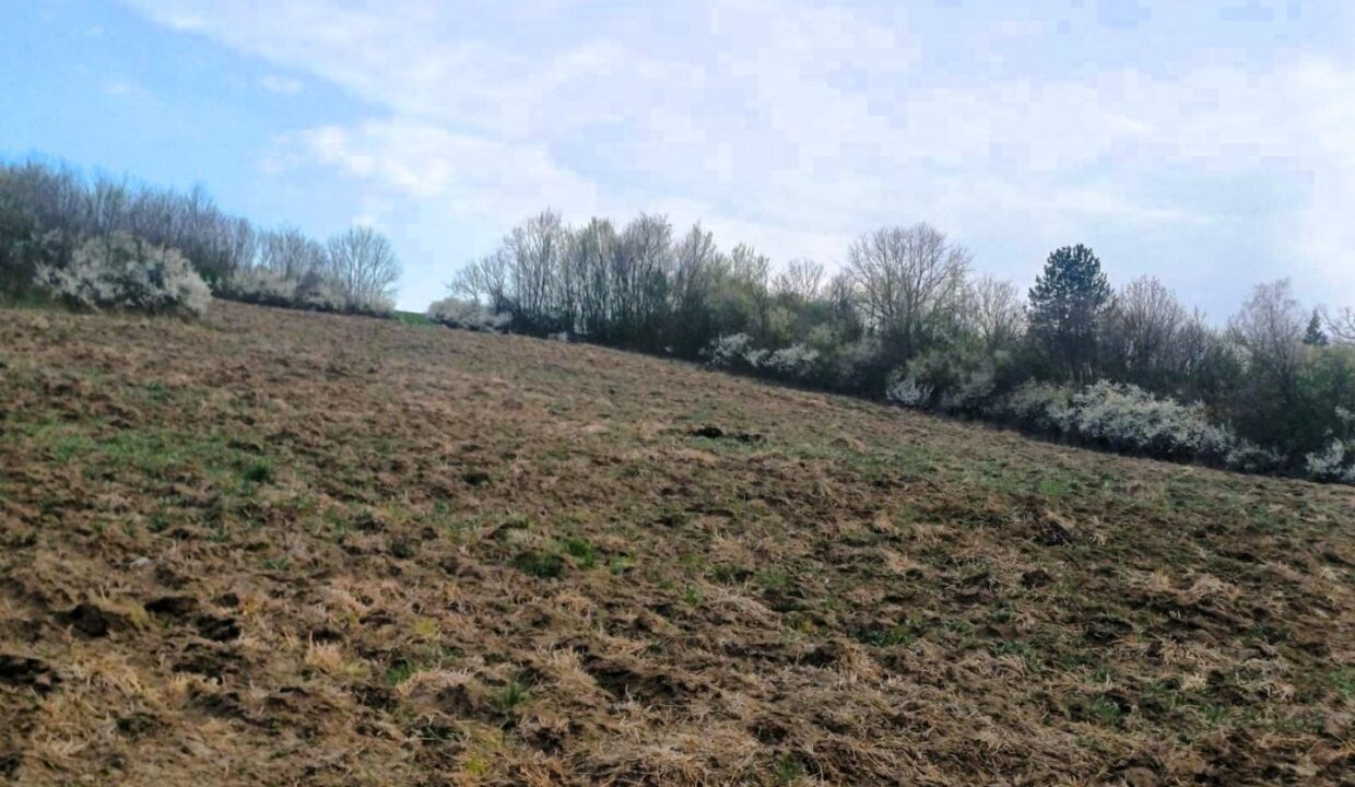 viber_image_2026-03-25_14-31-49-129