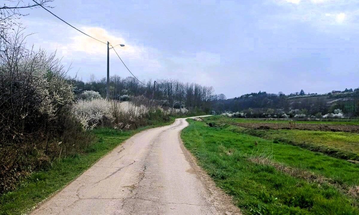 viber_image_2026-03-25_14-31-49-636