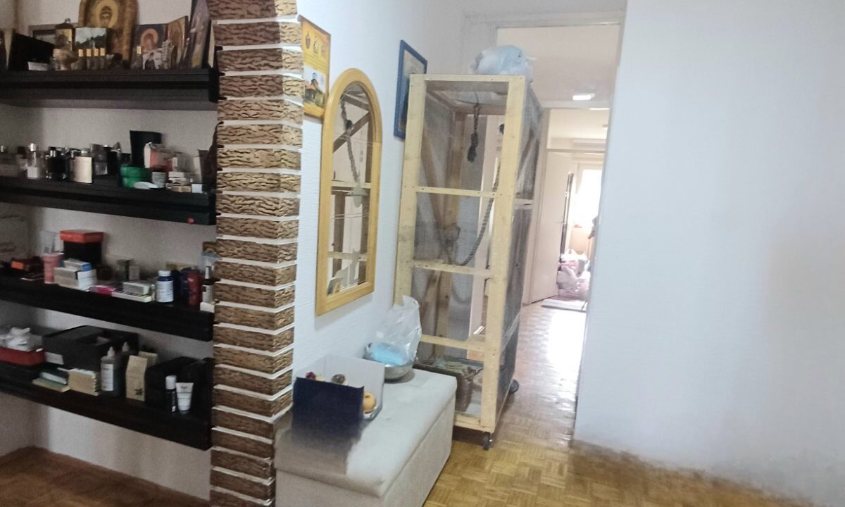 viber_image_2026-03-25_16-00-49-064