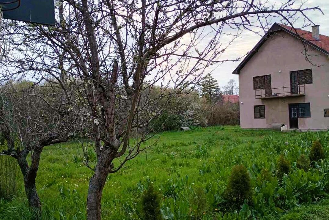 viber_image_2026-03-26_12-28-03-400