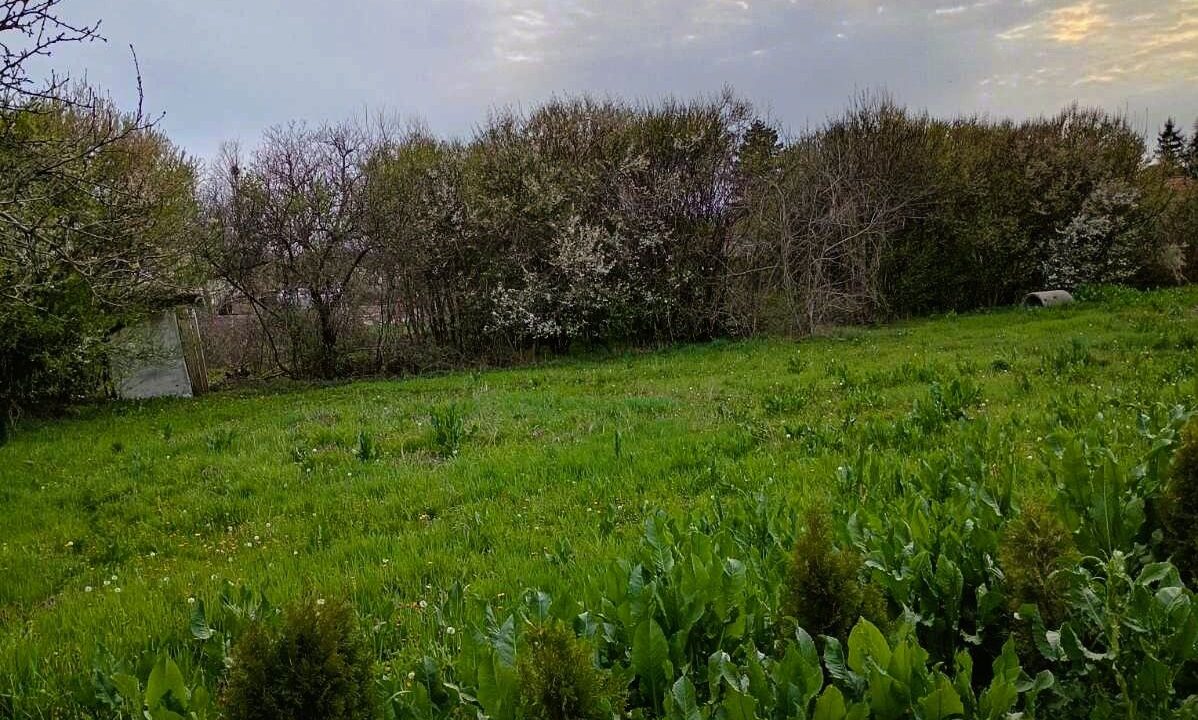 viber_image_2026-03-26_12-28-04-004