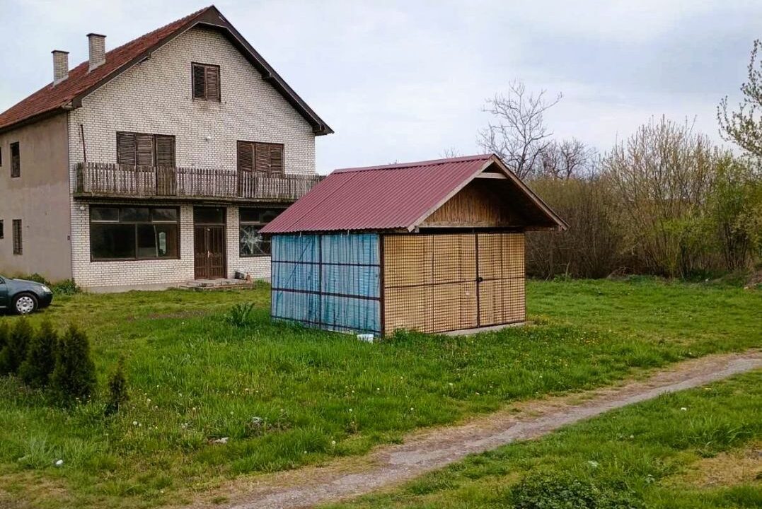 viber_image_2026-03-26_12-28-04-526