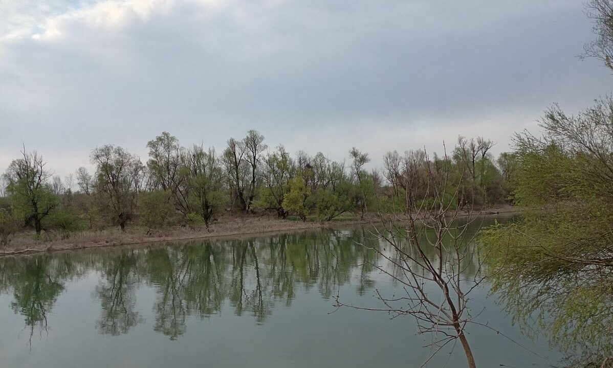 viber_image_2026-03-26_12-28-04-865