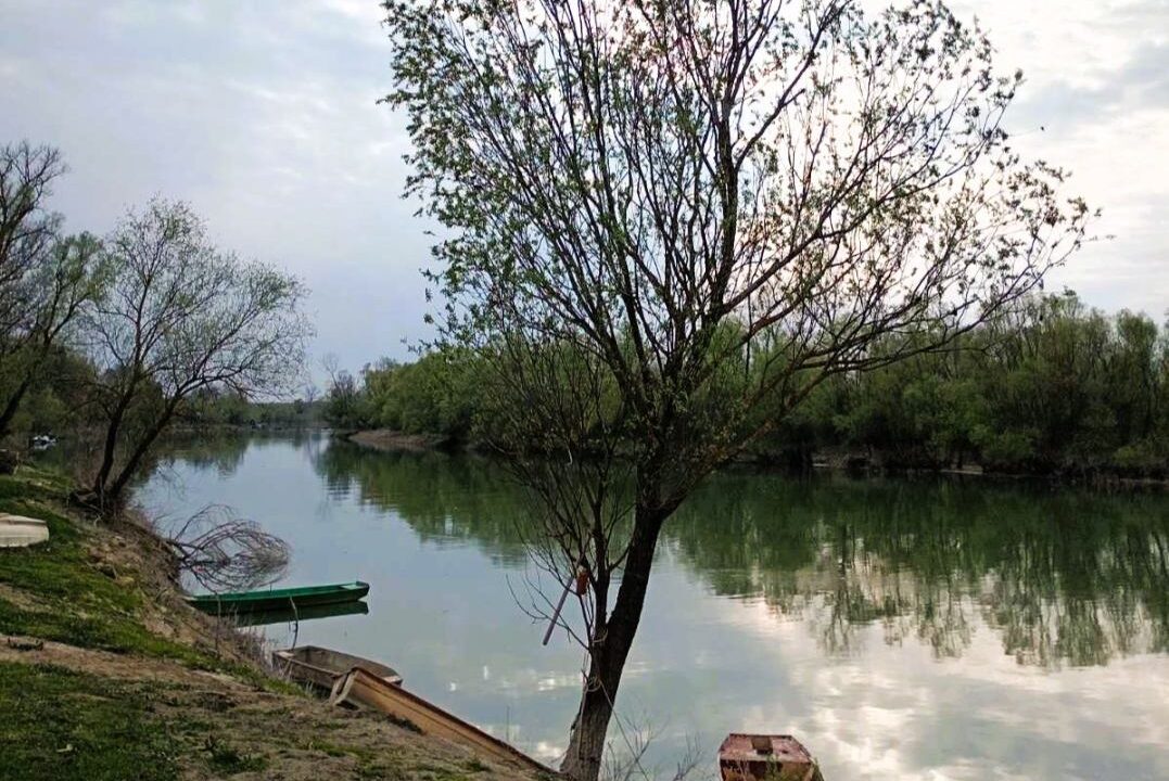 viber_image_2026-03-26_12-28-05-395