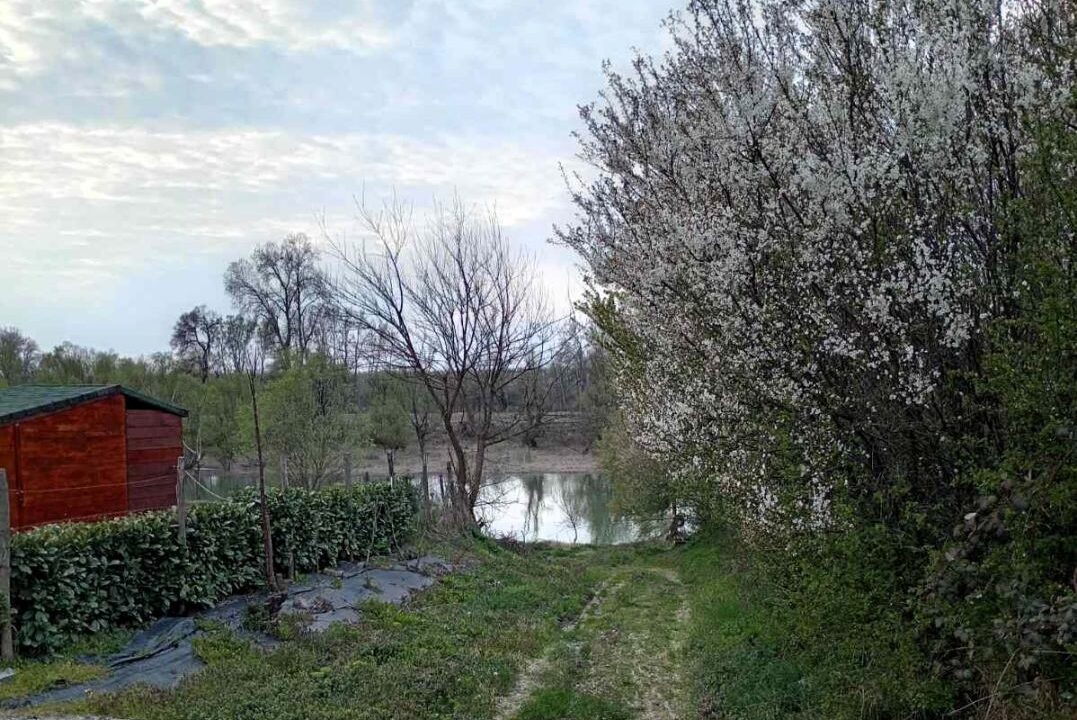 viber_image_2026-03-26_12-28-05-967