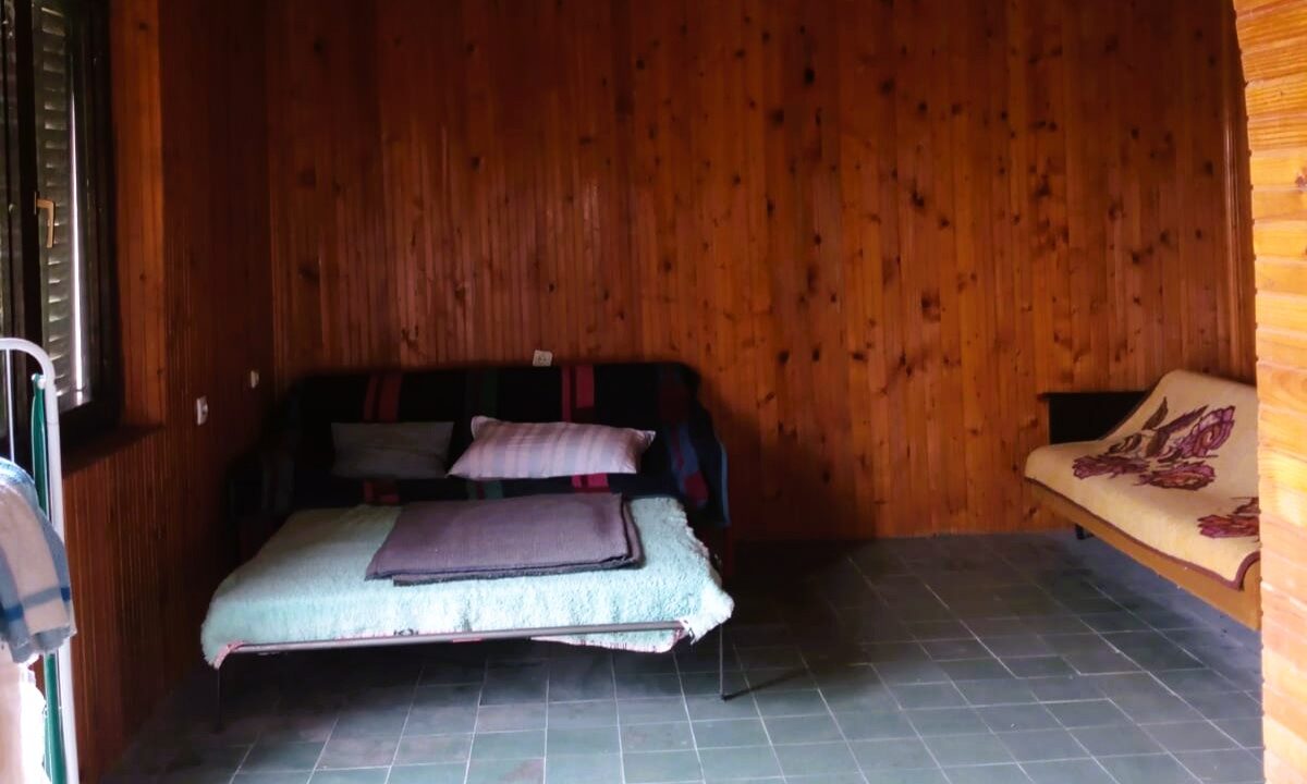 viber_image_2026-03-26_12-28-09-358