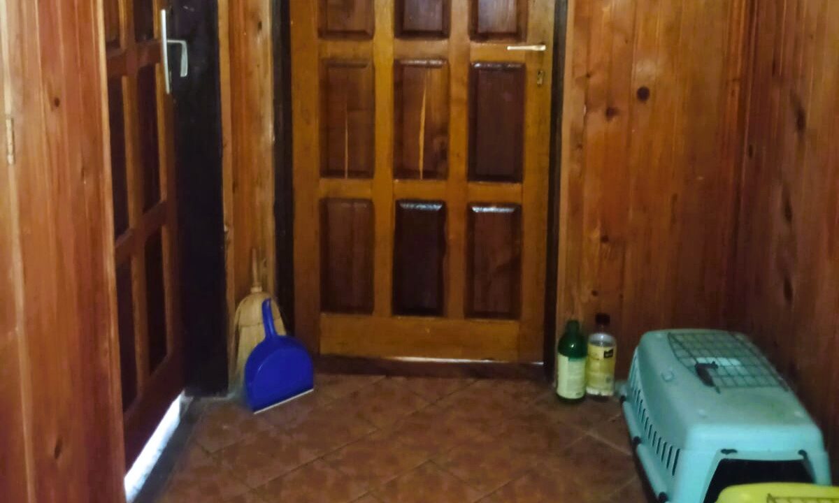 viber_image_2026-03-26_12-28-10-191