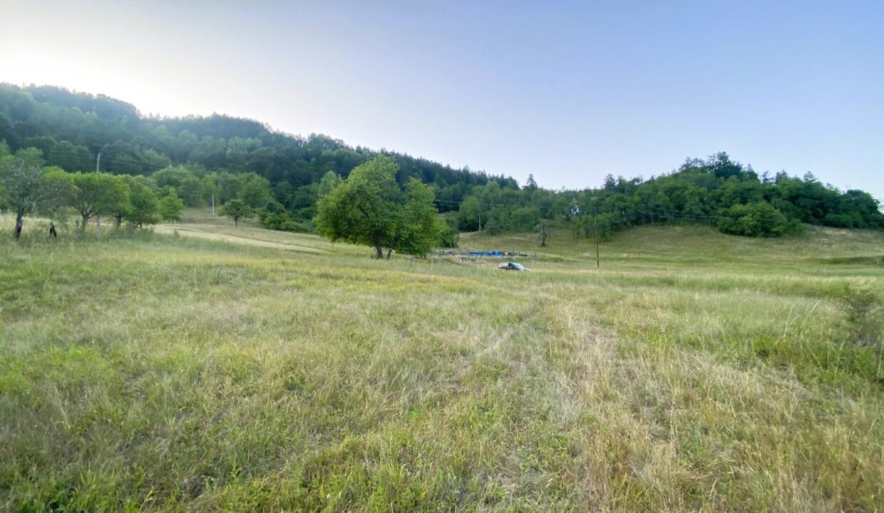 viber_image_2026-03-27_14-36-45-938