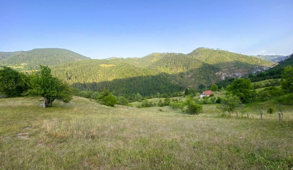 viber_image_2026-03-27_14-36-46-278