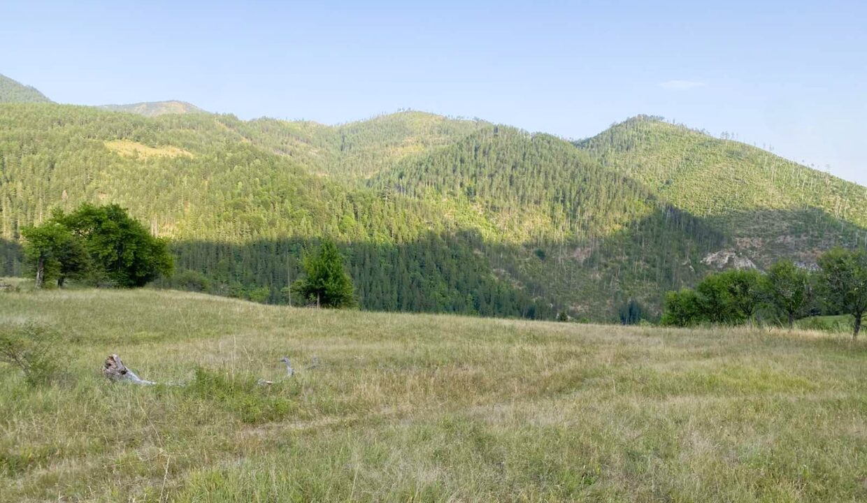 viber_image_2026-03-27_14-36-46-609