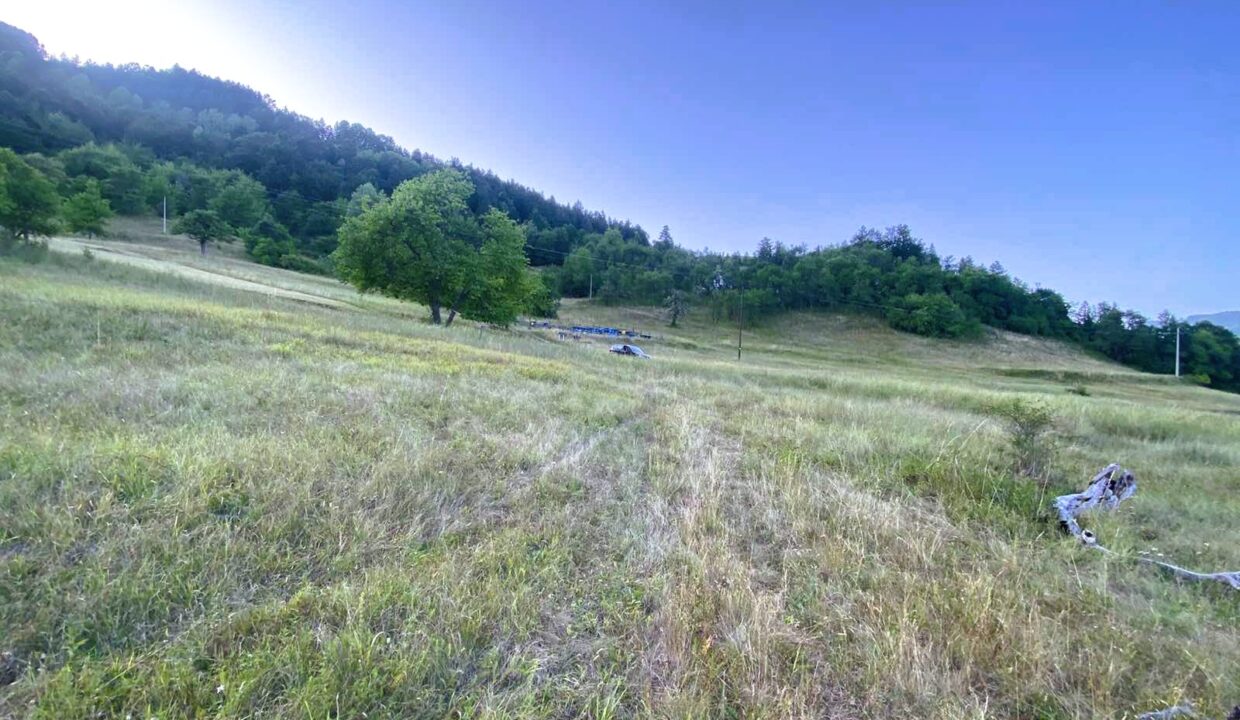 viber_image_2026-03-27_14-36-46-941