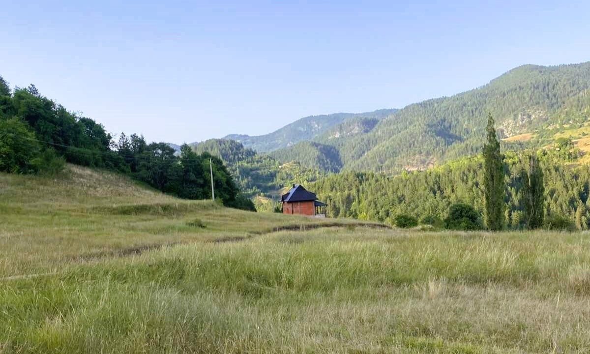 viber_image_2026-03-27_14-36-47-315