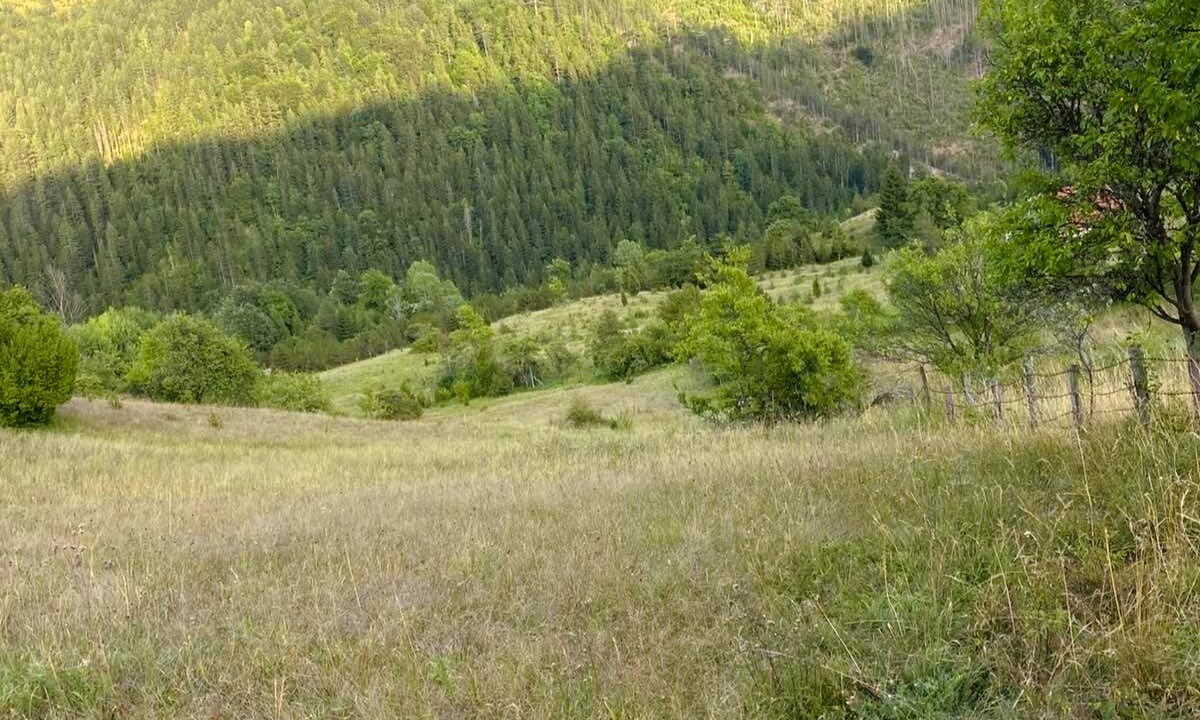 viber_image_2026-03-27_14-36-47-667