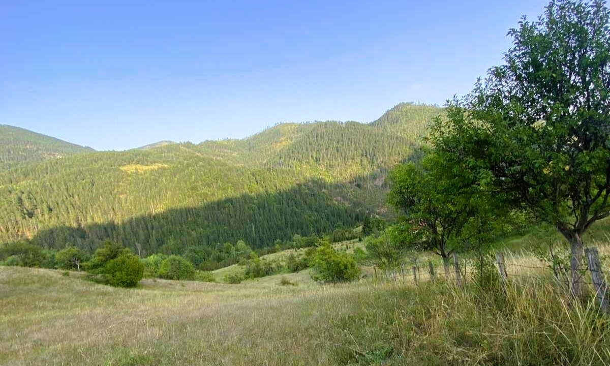 viber_image_2026-03-27_14-36-48-088