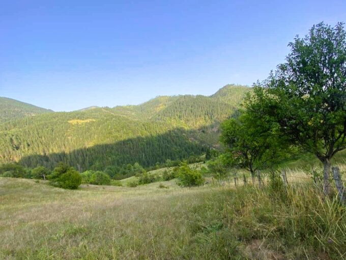 Plac 73 ara, Zaovine, Tara, 67.000€