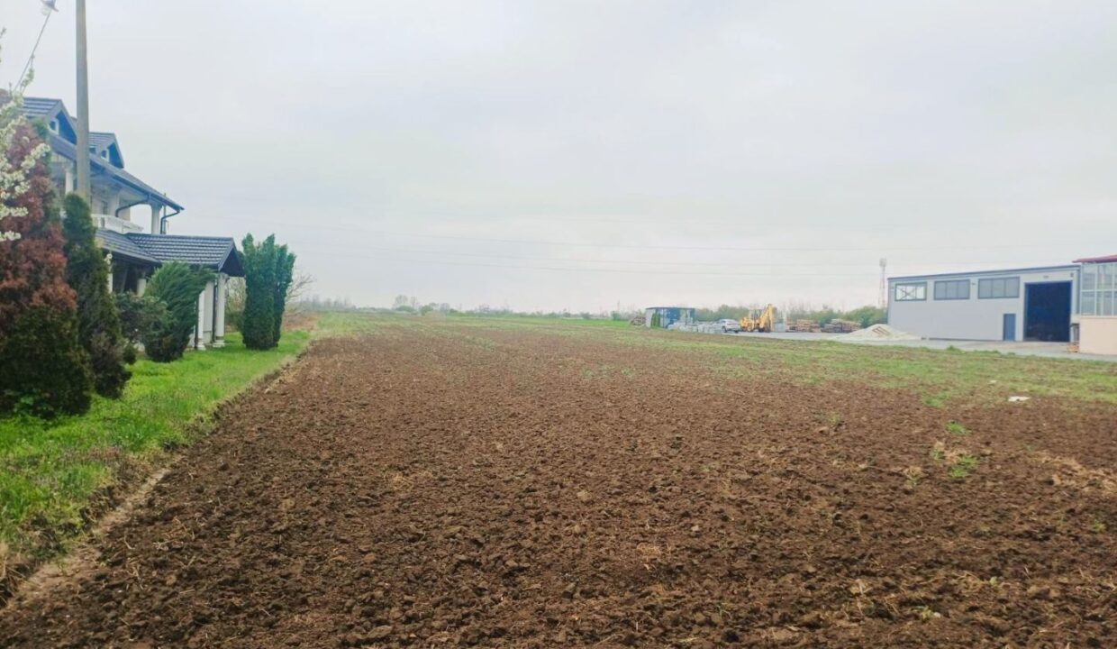 0-02-05-2ec02aae6d370f3dadec0d73f6541046a297ba3499ad4f1bb374d690eab465cd_d9f783c7b472181b