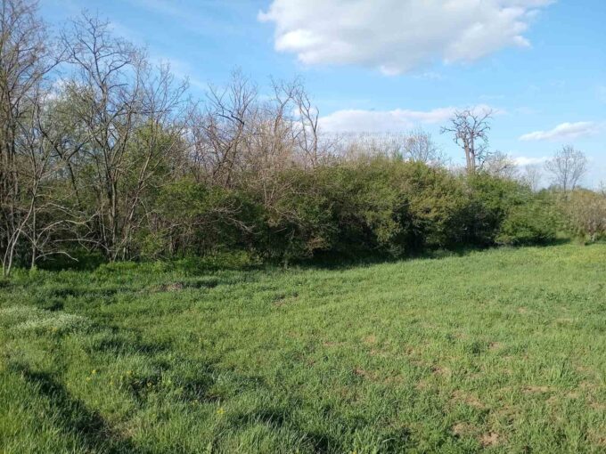 Plac 32 ara, Ratari, Obrenovac, 23.000€