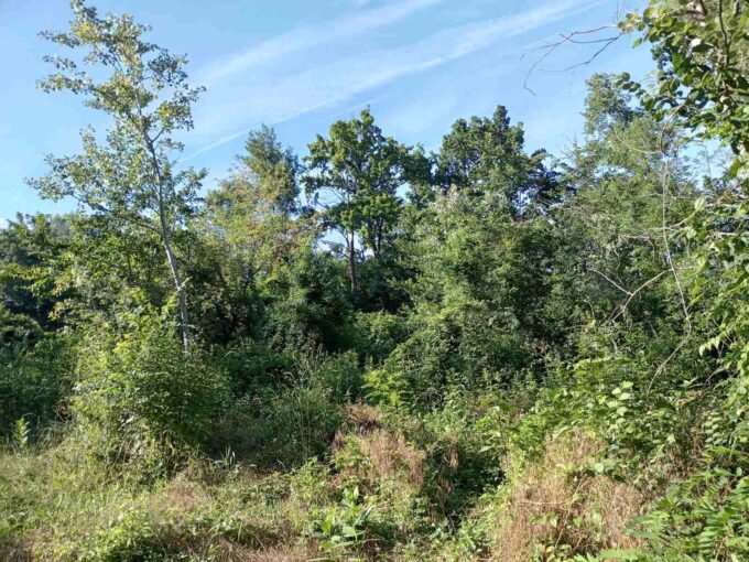 Plac 23 ara, Brgulice, Obrenovac, 11.500 €