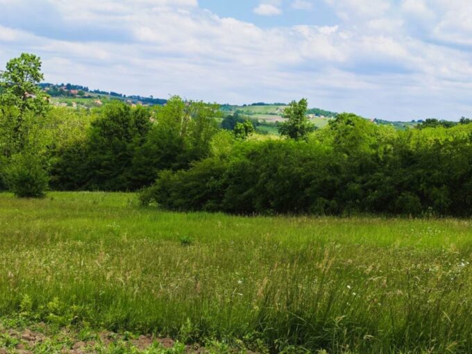 Plac 60 ari  i šuma 138 ari, Draževac, Obrenovac, 45.000€
