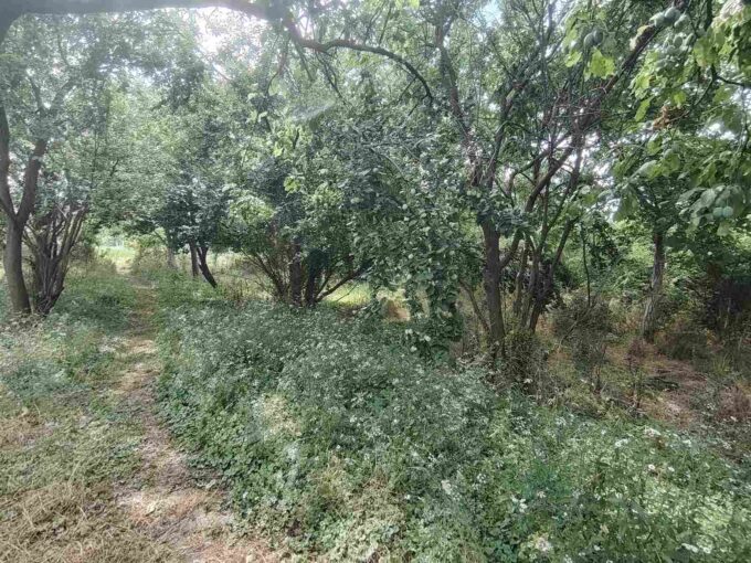 Plac 9 ari, Grabovac, Obrenovac, 5.500€